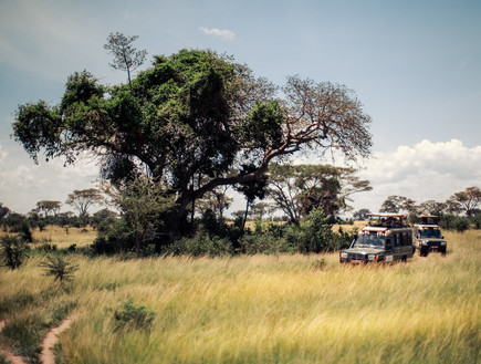 טיול באוגנדה (צילום: דן ליאור)