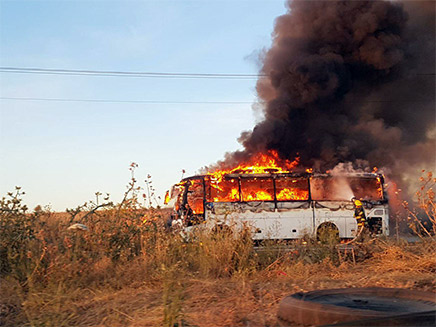 זירת השריפה (צילום: דוברות כבאות והצלה לישראל מחוז צפון, חדשות)