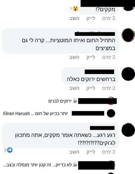 חרקים בחופי הארץ (צילום: פייסבוק\השכנים של בוגרשוב)