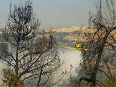 שריפה במבשרת ציון (ארכיון) (צילום: כיבוי והצלה ירושלים, חדשות)