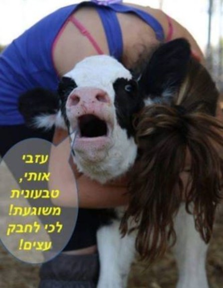 טל גלבוע, תביעה, מאי 2019 (צילום: מתוך פייסבוק)