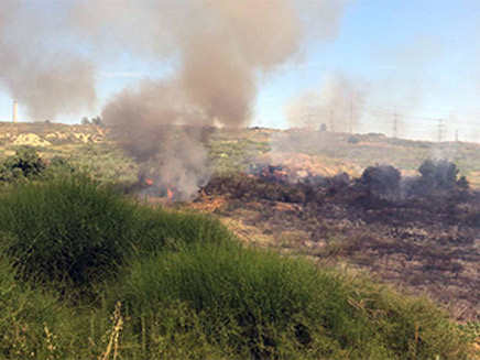 שרפת קוצים (ארכיון) (צילום: דוברות כבאות והצלה, חדשות)