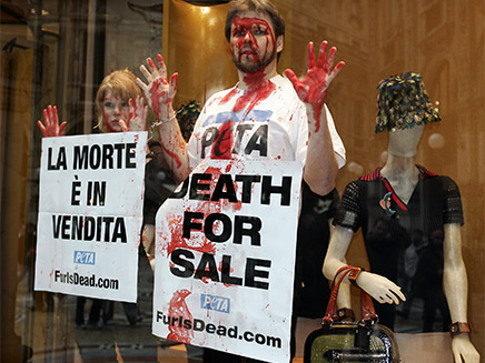 הפגנה נגד שימוש בפרווה (צילום: רויטרס, חדשות)