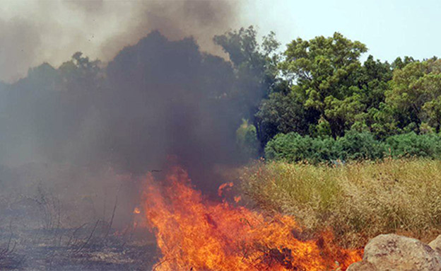מדורות שלא כובו כראוי גרמו לשרפות (צילום: כבאות והצלה מחוז ירושלים, חדשות)