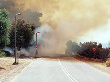 השרפה בבית אוריה (צילום: כבאות והצלה מחוז ירושלים, חדשות)