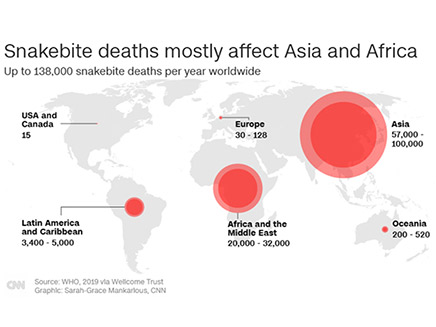 מקרי המוות הנפוצים ביותר - אסיה ואפריקה (צילום: CNN, חדשות)
