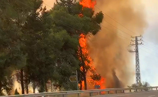 השרפה סמוך לכביש 443 (צילום: החדשות)