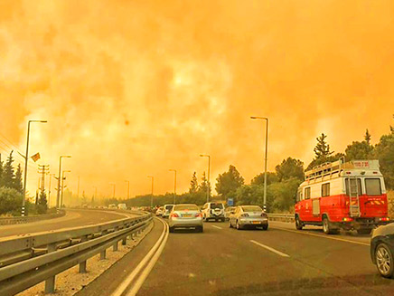 שרפה בגמזו (צילום: החדשות)