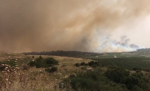 שרפה בקיבוץ הראל (צילום: חדשות)