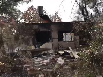 בתים שרופים בקיבוץ הראל (צילום: חדשות)