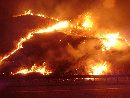 השרפה במנחמיה. אמש (צילום: דוברות כבאות והצלה לישראל מחוז צפון, חדשות)