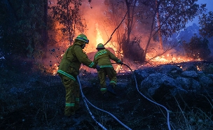 כבאים נלחמים באש, בשבוע שעבר (צילום: יונתן זינדל פלאש 90, חדשות)
