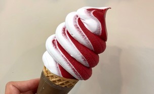 וניליה גלידה אמריקאית חדשה   (צילום: ריטה גולדשטיין, mako אוכל)