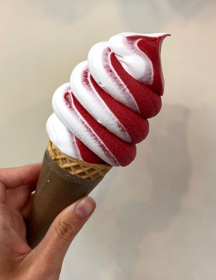 וניליה גלידה אמריקאית חדשה   (צילום: ריטה גולדשטיין, mako אוכל)