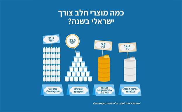 כמה מוצרי חלב צורך ישראלי? (צילום: חדשות)