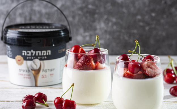 פנקוטה יוגורט פנקוטה יוגורט