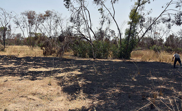שרפה כתוצאה מבלון תבערה (צילום: כבאות והצלה לישראל מחוז דרום, חדשות)