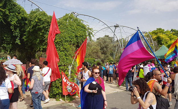 המצעד השנה (צילום: חדשות)