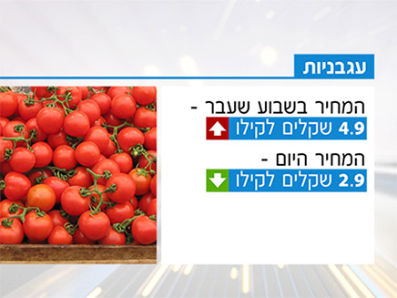 מחירי העגבניות (צילום: חדשות)