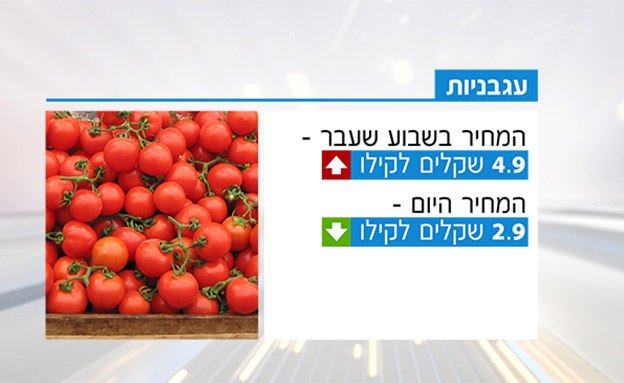 מחירי העגבניות (צילום: חדשות)