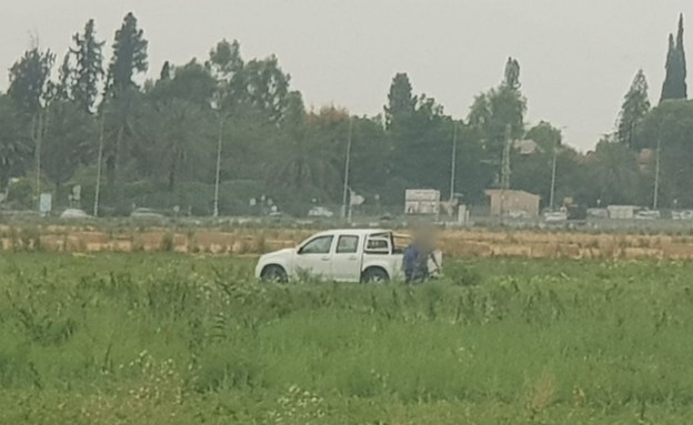 אבטיחים (צילום: חטיבת דוברות משטרת ישראל)