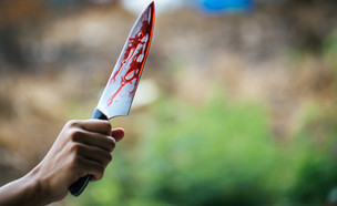 סכין עם דם (צילום: shutterstock | Sumala Chidcho)