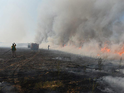 שרפה שפרצה סמוך לנחל עוז, היום (צילום: אביב הרץ/TPS, חדשות)