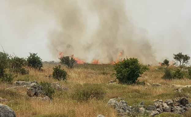 שרפה בשומרון, ארכיון (צילום: רועי עוז/TPS, חדשות)