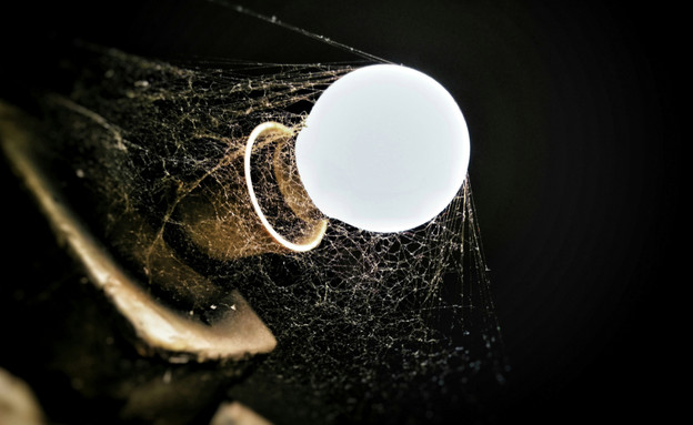 מנורה מלוכלכת  (צילום:  ad_soch, shutterstock)