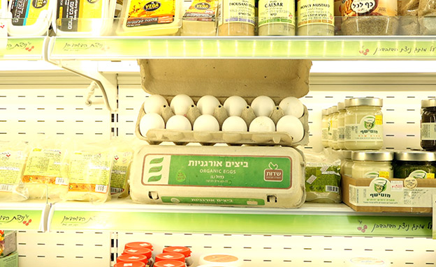 ביצים יקרות יותר - בריאות יותר? (צילום: החדשות)