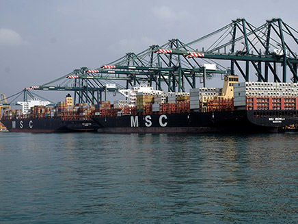 ספינת משא של MSC, ארכיון (צילום: רויטרס, חדשות)