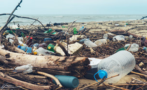 פסולת בחוף הים (צילום: Larina Marina, ShutterStock)