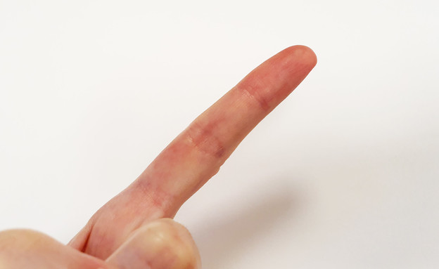 אצבע (צילום: רחלי רוטנר)