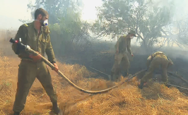 "זאת רשלנות חבל על הזמן" (צילום: החדשות)