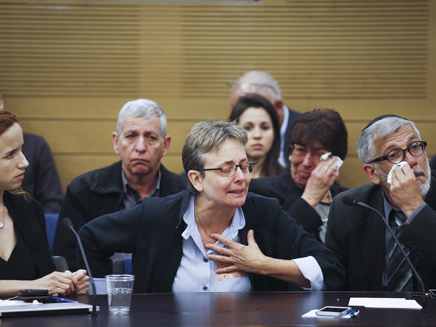 לאה גולדין בדיון בכנסת (ארכיון) (צילום: פלאש 90 \ Hadas Parush, חדשות)