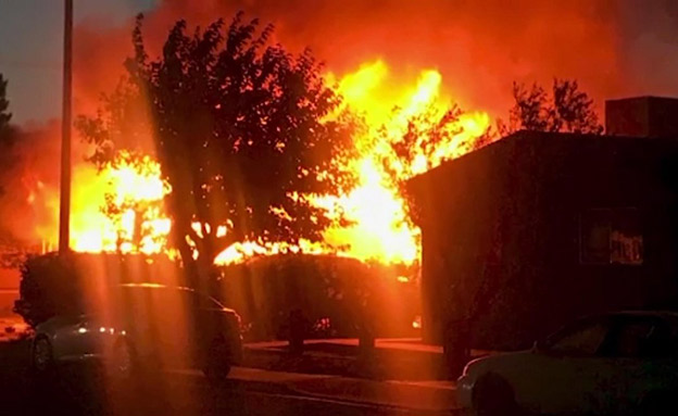 תיעוד: האדמה רועדת בקליפורניה ברעש האדמה בחמישי (צילום: מהטוויטר של פרטסון פיליפס, חדשות)