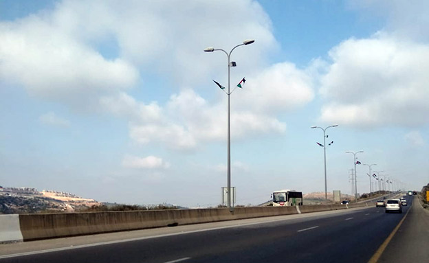 הדגלים שהתגלו הבוקר