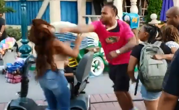 קטטה בדיסנילנד (צילום: יוטיוב\Disneyland Fight Brawl)