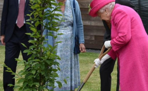 המלכה אליזבת שותלת עץ (צילום: theroyalfamily)