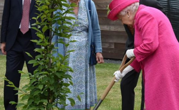 המלכה אליזבת שותלת עץ (צילום: theroyalfamily)