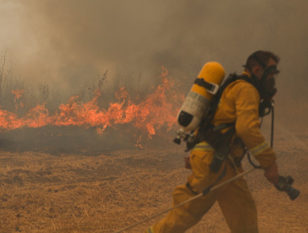 השריפה באזור בית שמש (צילום: Noam Revkin Fenton/Flash90, חדשות)
