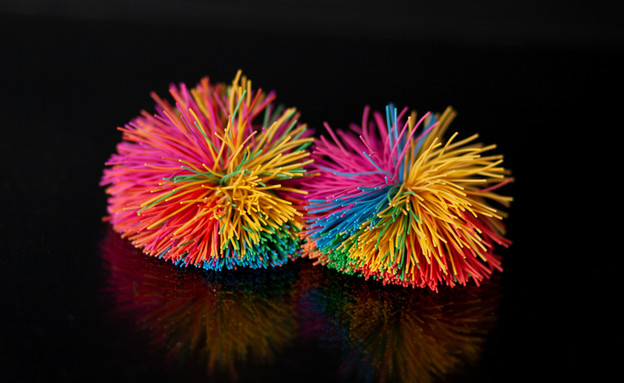 כדור שערות גומי (צילום:  S. Schmutzler Photography, ShutterStock)