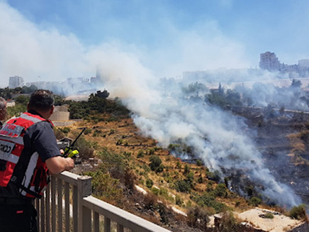 השרפה הקודמת בוואדי ליפתא (ארכיון) (צילום: אהוד אמיתון/TPS, חדשות)