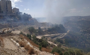 השרפה בכניסה לירושלים (צילום: שלמה מלט/TPS, חדשות)
