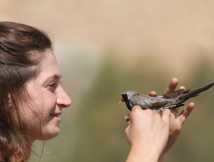 יום בעבודה של פקחים ברשות הטבע והגנים (צילום: רון הרן, רשות הטבע והגנים)