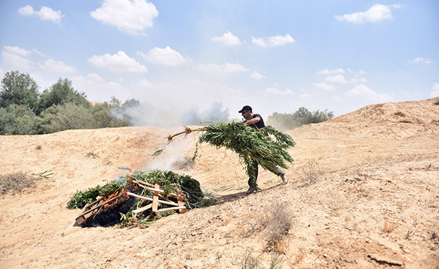 מבצע המשטרה  הבוקר (צילום: דוברות המשטרה, חדשות)