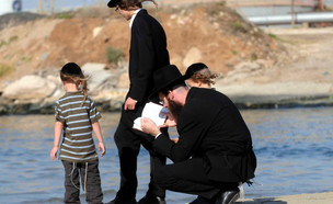 תשליך  (צילום: יוסי זליגר, פלאש/90 )