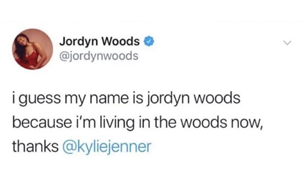 ציוצים מחוקים (צילום: מתוך עמוד הטוויטר של JORDINWOODS)