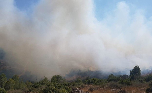 שרפה בהרי ירושלים סמוך לבית מאיר (צילום: כבאות והצלה, דוברות כבאות והצלה)