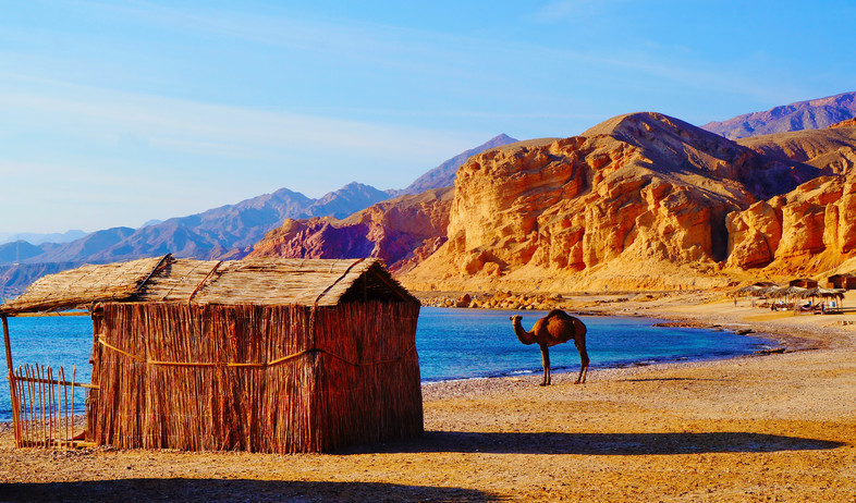 סיני (צילום: B.Aphotography's, shutterstock)